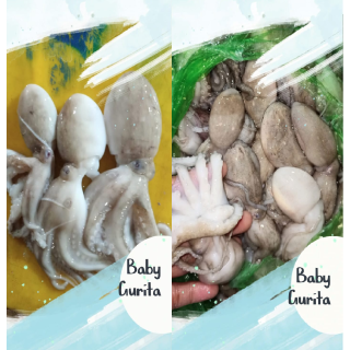 Cumi dan Baby Gurita