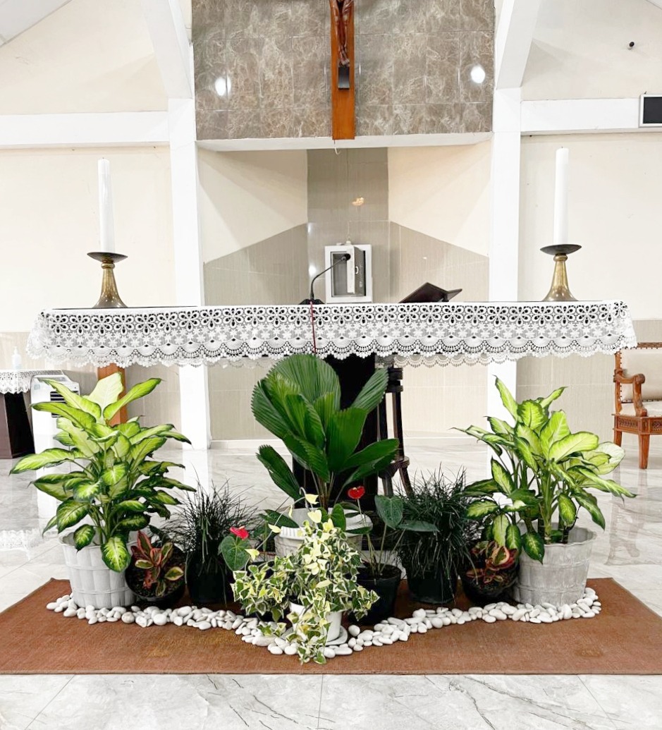 Umat Lingkungan St. Gregorius merawat tanaman di Gereja