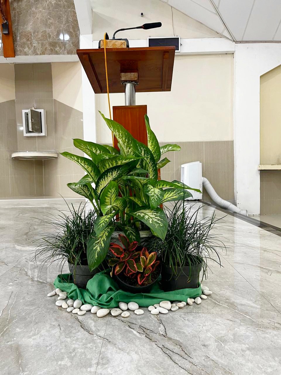 Umat Lingkungan St. Gregorius merawat tanaman di Gereja