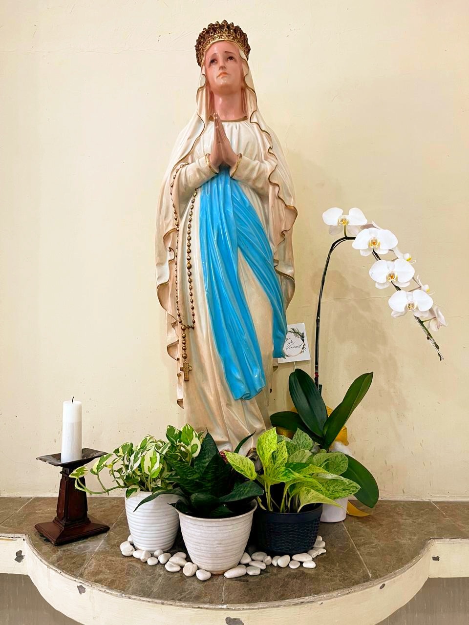 Umat Lingkungan St. Gregorius merawat tanaman di Gereja