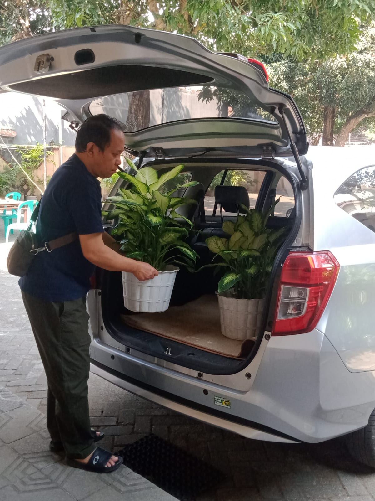 Umat Lingkungan St. Gregorius merawat tanaman di Gereja