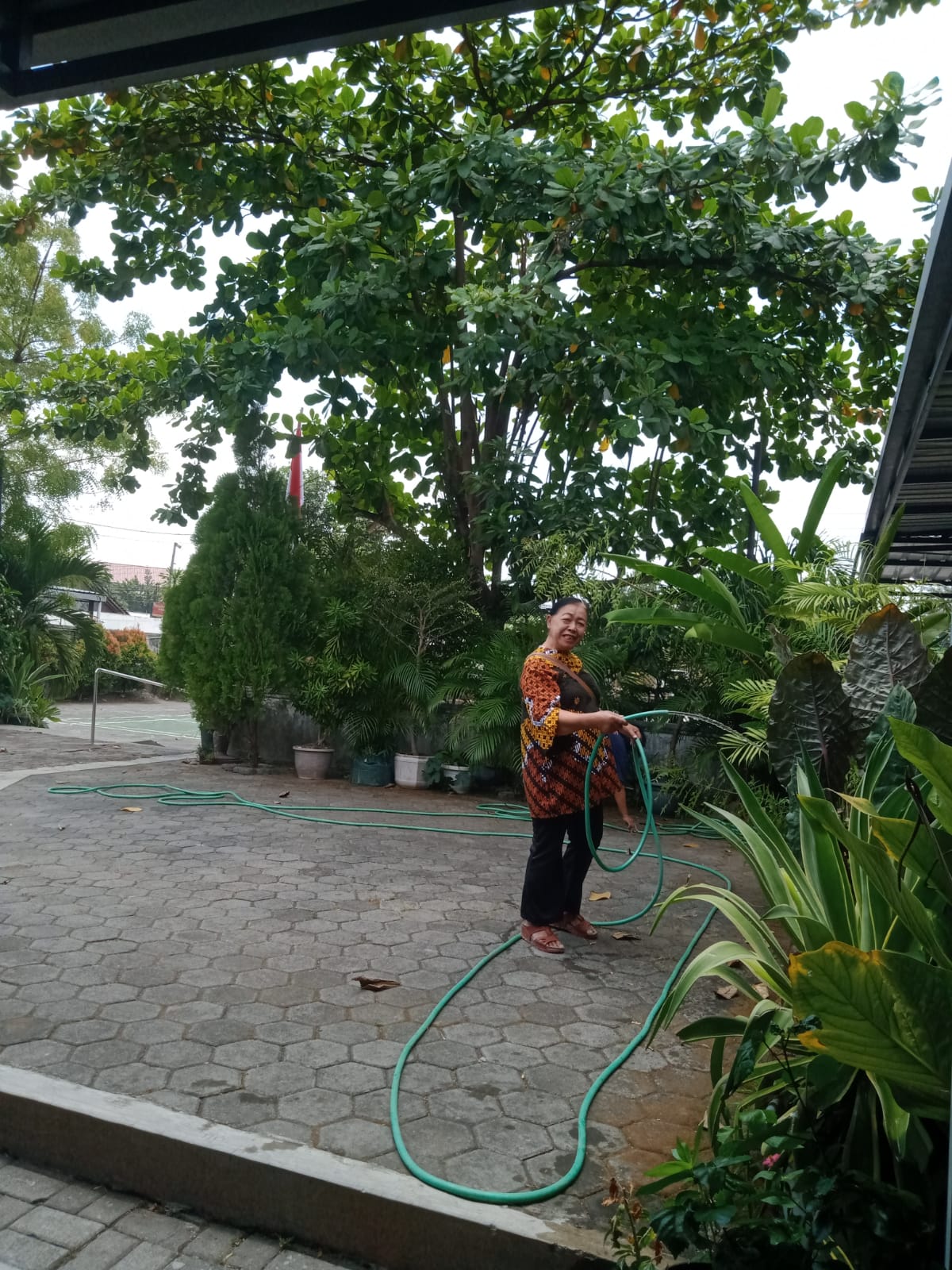 Umat Lingkungan St. Gregorius merawat tanaman di Gereja