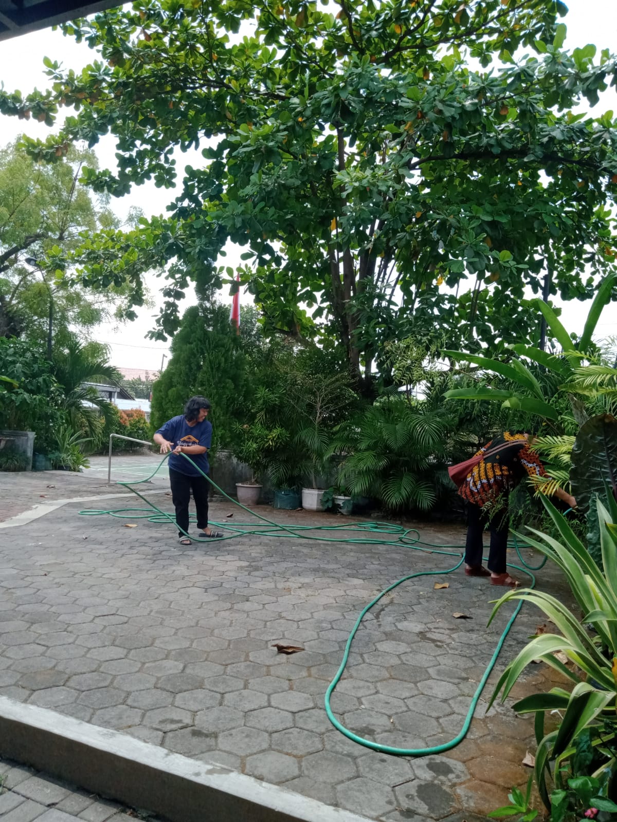 Umat Lingkungan St. Gregorius merawat tanaman di Gereja